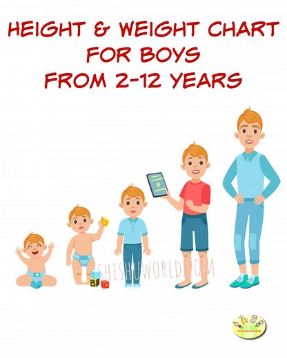 Weight Chart, Height Chart for Boys from 2 – 12 Years - ShishuWorld
