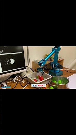 Robot Arm with OpenCV Object Detection using MATLAB | Advanced Deep Learning Projects