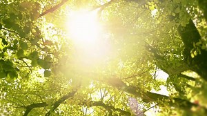 Free Flow is a comprehensive collection with 20 patterns in 12 colors, allowing designers to go to 1 collection for multiple patterns and colors. All patterns are available in 50cm x 50cm squares as well as 25cm x 1m planks. Watch to learn more! | Milliken Floors