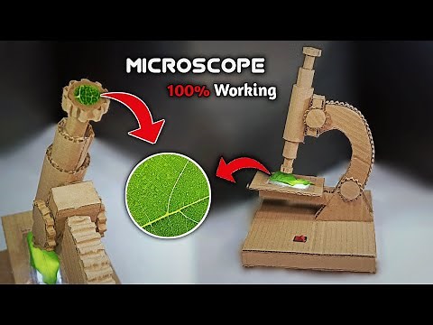 How To Make Microscope with cardboard | easy science project