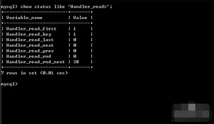 Mysql Workbench Show Databases