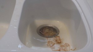 5.1K views · 139 reactions | Check it– CLR Garbage Disposal Foaming...