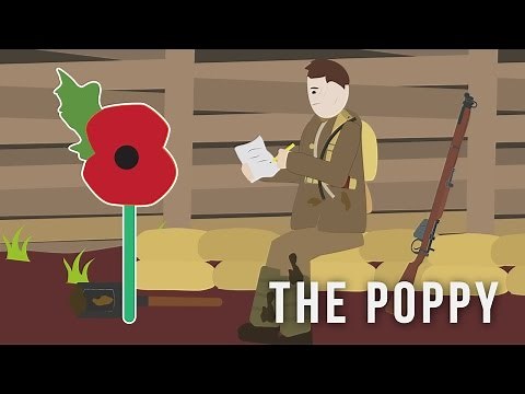 What Is the Meaning of a Poppy Flower?