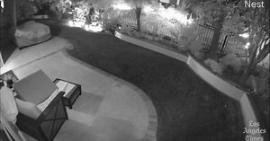 Video captures dog fending off coyote attacking fellow pooch in Mission Viejo backyard