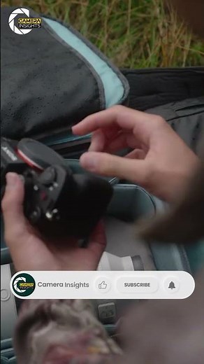 Sony A7R VI vs Nikon Z7 III: Which One Should You Wait For?