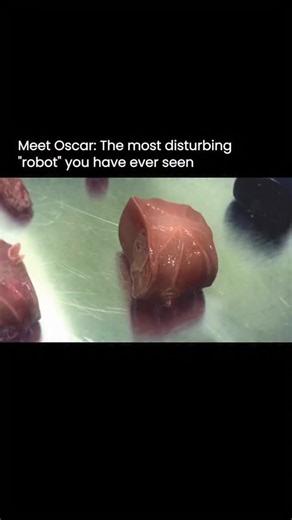 Quantum Emerges | Science & Tech on Instagram: "This sci-fi concept explores a modular body built from organic components that connect more like living tissue than mechanical parts. Instead of rigid frames and motors, the focus is on flexibility, regeneration, and adaptation. The unsettling appearance is intentional. It sits at the boundary where robotics and biology begin to merge. While this project is conceptual, real researchers are already working on bio-hybrid systems, lab-grown tissues, a