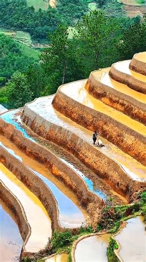 China Turned Rocky Mountains Into Green Farms!#facts #trending #ytshorts