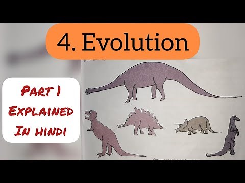 5th Std - Evs 2 - Chapter 4 Evolution explained in hindi - Maharashtra board - Class 5