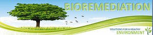 Bioremediation Case Studies
