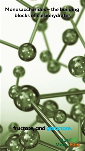 What Are Monosaccharides? - Glucose, Fructose & Galactose