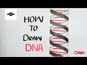 How to draw the structure of DNA | Easy diagram of DNA for 9th and 10th class students