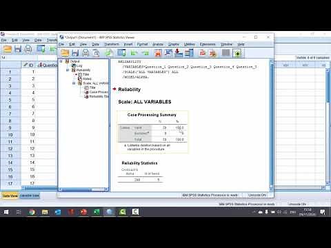 How To... Calculate Cronbach's Alpha in SPSS