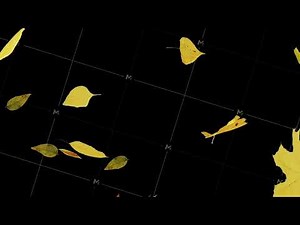 Falling Autumn Leaves on Transparent Background - 3D Animation of Falling Leaves - Slowmotion Detail