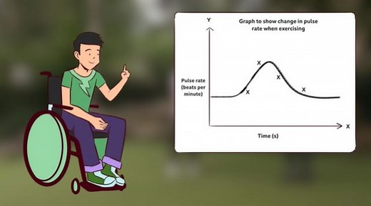 Graphs and charts - Working scientifically - KS3 Science - BBC Bitesize