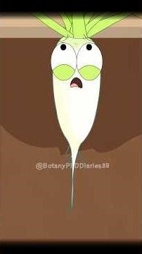 The radish and its leaves compete for nutrients!#shorts