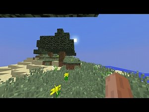 Java Hand And Java Bobbing in MCPE