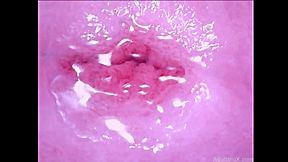 Cervix Magnified Heartpounding Orgasms - FoxPorns.Net