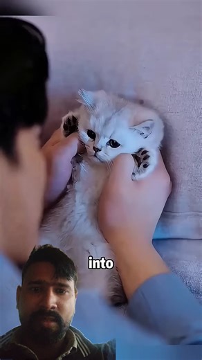 यह आदमी अफसर कल्पनाकरना चाहता था#यह बिल्ली एक अच्छी लड़की बन जाए# raat mein ladki Billi bani thi