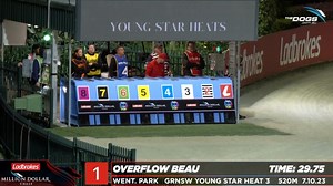 Overflow Beau makes it three in a row at Wentworth Park Greyhounds, and wins GRNSW Young Star Heat 3 in 29.75! Full Results: https://www.thedogs.com.au/racing/wentworth-park/2023-10-07/4/grnsw-young-star-heat-3-young-star-h #thedogs | The Dogs
