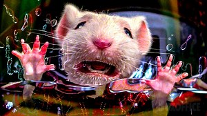 Mrs Little accidentally throws Stuart in the washing machine and he gets stuck inside it 😱 | Boxoffice Movie Scenes