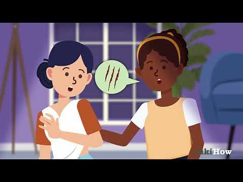 How to Play the Cat Scratch Game