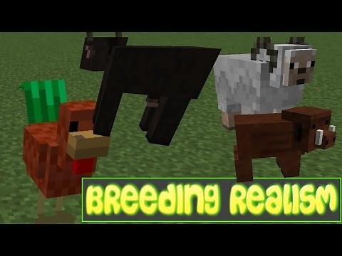 Minecraft Mod - Breeding Realism