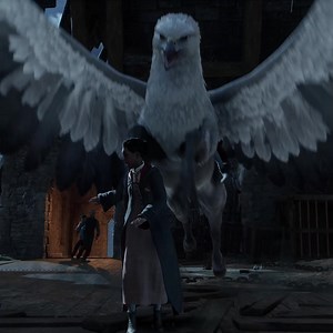 Experience a new wizarding world adventure! | Harry Potter