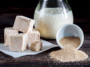 What Is The Best Temperature For Yeast? - Busby's