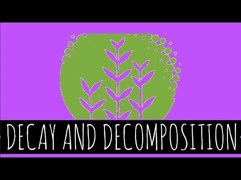 Decay and Decomposition - How Does Decay and Decomposition Work? - GCSE Biology