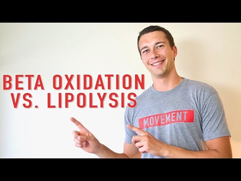 Lipolysis vs. Beta Oxidation (How Fat is Oxidized)