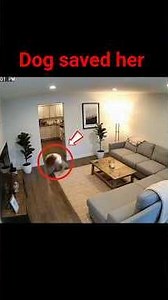 THIS WOMAN Collapses Alone At Home... Watch What Her Husky Does 😭❤️ #shorts