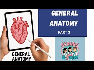 "Essential Patient Positions for Surgery & Nursing | Explained with Examples!"