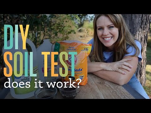 Easy DIY Soil Test