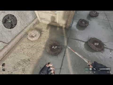 Making money [birds nest]