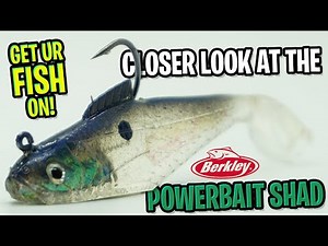 Closer Look at the Berkley Powerbait Shad Soft Plastic Pre-Rigged Bait