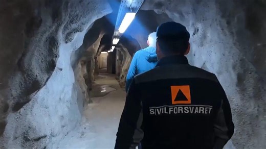 Nordic nations embrace total defence as the risk of sabotage and war rises