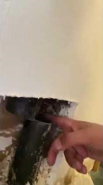 Stopping Rats from Getting In Your Plumbing Pipes & House | Versa-Tech® | LA County Rodent Control