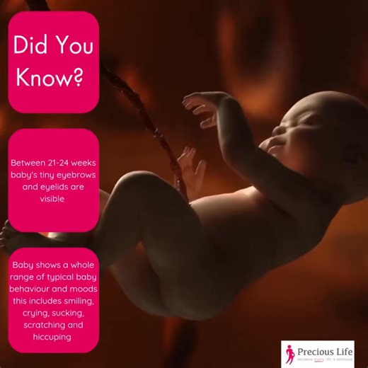 19K views · 1.4K reactions | Did You Know? Between 21-24 weeks a baby's tiny eyebrows and eyelids are visible. #DidYouKnow #GetTheFacts | Precious Life | Facebook