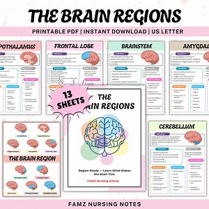The Brain Regions Cheat Sheet | Brain Anatomy | Human Brain | Brain Parts | Neuropsychology Worksheets | Neuroscience | Nervous System - Etsy