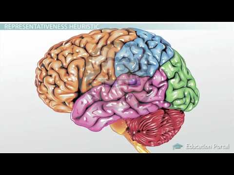 Types of Heuristics Availability, Representativeness & Base