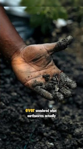 Wondering what earthworms eat?🤔#earthworm #worms #earthworms #sciencefacts