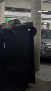 14K views · 68 reactions | Dieser junge Mann sprach sanft mit ihr, um sie zu beruhigen, und untersuchte sie dann: in ihrem Mund war der Schlüssel. | Rätselhaftes | Facebook