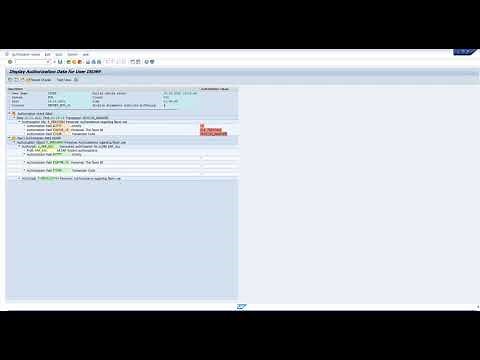 Analyzing Authorization issues in SAP - SU53