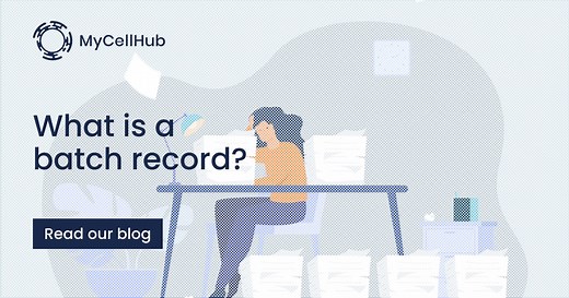 What is a batch record?