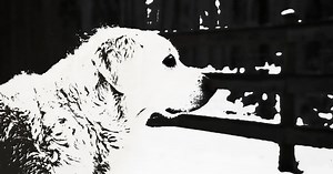 CC Thresholdとは - スタイライズ