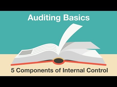 5 Components of Internal Control: Understanding the COSO Framework and C.R.I.M.E.
