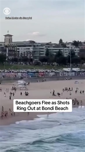 Beachgoers fled Sydney’s iconic Bondi Beach on Sunday as shots rang out during a Jewish gathering that left at least 11 people dead, according to Australian officials. Police said one of two gunmen was also dead, at least 29 people, including two officers and a child were taken to hospitals.