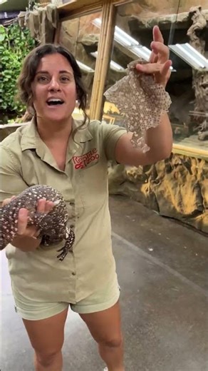 Helping him shed his skin! 🦎