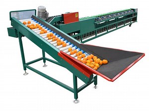 Automatic Fruit &Vegetable Sorting Machine