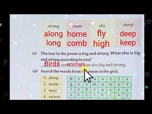 Class 3 | English Lesson 4 | PSEB Rainbow New book |Solved Exercise
